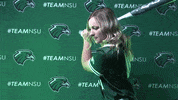 Softball GIF by RiverHawk Sports