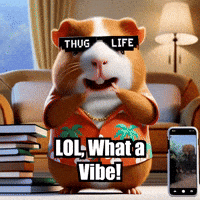 Social Media Trends Lol GIF by Guinea Gambino