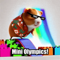 Guinea Pig Obstacle Course GIF by Guinea Gambino