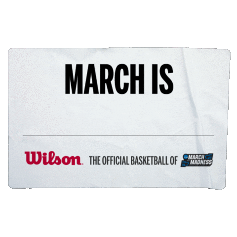 college basketball ball Sticker by Wilson Basketball