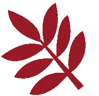 estudiobizu plant plantlover dpv estudiobizu Sticker