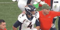 2018 Nfl Football GIF by NFL