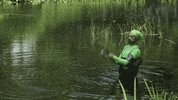 internet GIF