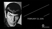star trek GIF by NowThis 