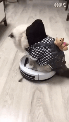 marie-adelecopin giphygifmaker GIF