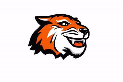 tiger smiling GIF by Rochester Institute of Technology