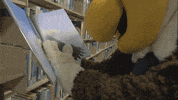 Happy Fun GIF by Wake Technical Community College