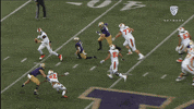 Uw Huskies Football GIF by Pac-12 Network