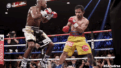 las vegas fight GIF by Showtime