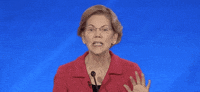 Democratic Debate GIF by GIPHY News