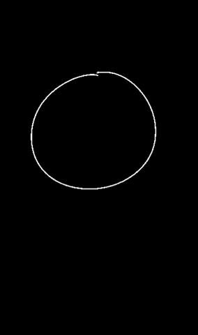 Hkpdesign giphygifmaker giphygifmakermobile circle lines GIF