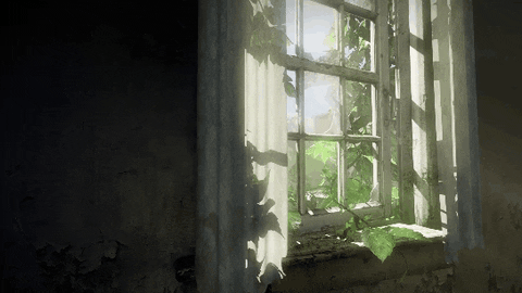 Wallpaper GIF