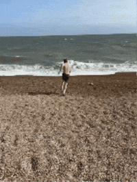 Flessenpost GIF by Omroep Zeeland