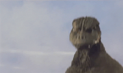 giphy.gif