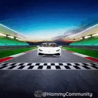 Car Driving GIF by Sad Hamster