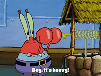 season 4 GIF by SpongeBob SquarePants