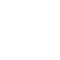 danielterabusi coco palm suave palmera Sticker