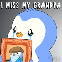I Miss Him GIF by Pudgy Penguins