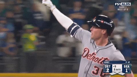 Detroit Tigers GIF by MLB