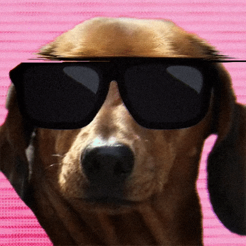 magicspells giphygifmaker magic spells magicspells GIF