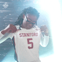 College Basketball Sport GIF by NCAA March Madness