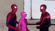GIF by Webs & Tiaras