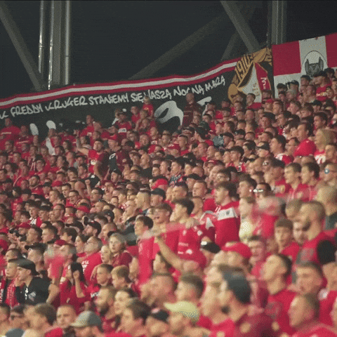 Football Soccer GIF by Widzew Łódź