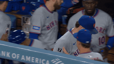 Baseball Celebrate GIF by New York Mets