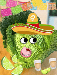 Party Mexico GIF