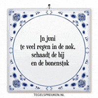 Humor Nl GIF by Tegelspreuken.nl
