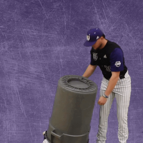 Baseball Wesleyan GIF by KWC Panthers