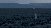 meowwolf new mexico nm meow wolf taos GIF