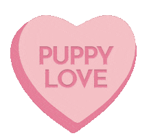 bonboyco dogs sweetheart puppy love collar Sticker