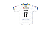 The Wire Sticker by Warrington Wolves
