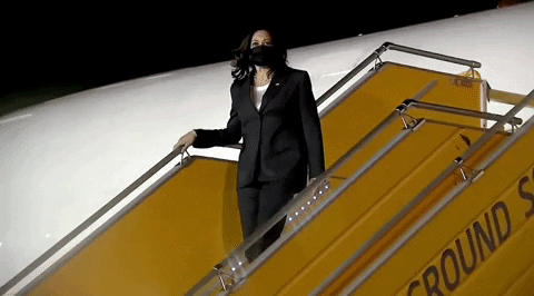 Kamala Harris GIF by GIPHY News