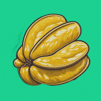 Comida Fruit GIF