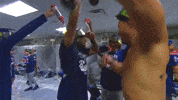 Blue Jays Dancing GIF by Toronto Blue Jays
