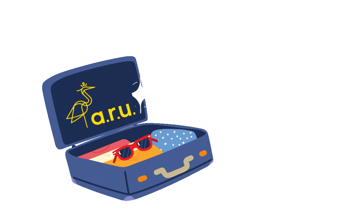 Travel Home Sticker by ARUInternational