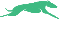Kirby2021 Sticker by Go Greyhound Racing