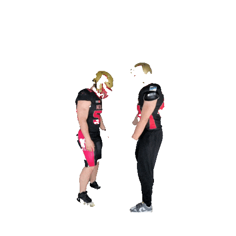 neu-ulm-spartans giphyupload football nuspartans Sticker