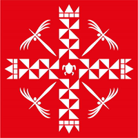 tongaskiteam #tonga #ediundsepp GIF