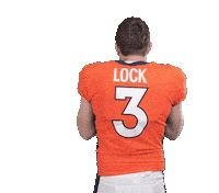 Denver Broncos Football Sticker by NFL