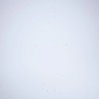 3d render GIF by elmisterca