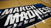 College Basketball Wildcats GIF by Northwestern Athletics