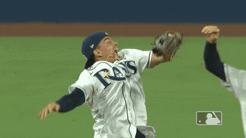 Major League Baseball Sport GIF by MLB