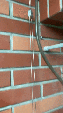 charlestsai3f14 giphyupload GIF