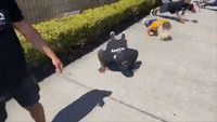 Tampa Bay Gym Employees Protest Closures With Push-Ups and Squats Outside Courthouse