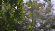 Wit GIF by Wentworth Alumni Office