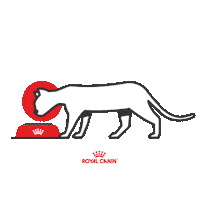 Vet Veterinario Sticker by Royal Canin Brasil