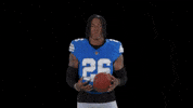 Nfl GIF by Detroit Lions